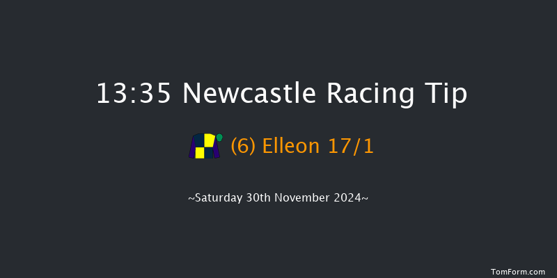 Newcastle  13:35 Handicap Chase (Class 3) 30f Sat 23rd Nov 2024