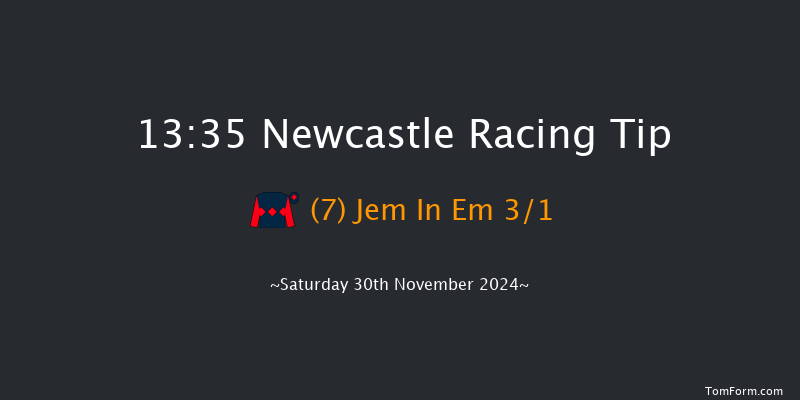 Newcastle  13:35 Handicap Chase (Class 3) 30f Sat 23rd Nov 2024