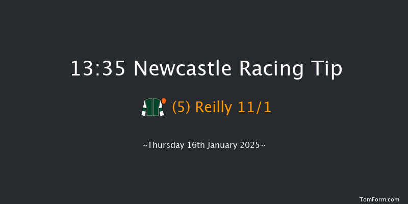 Newcastle  13:35 Handicap Chase (Class 4) 20f Tue 14th Jan 2025