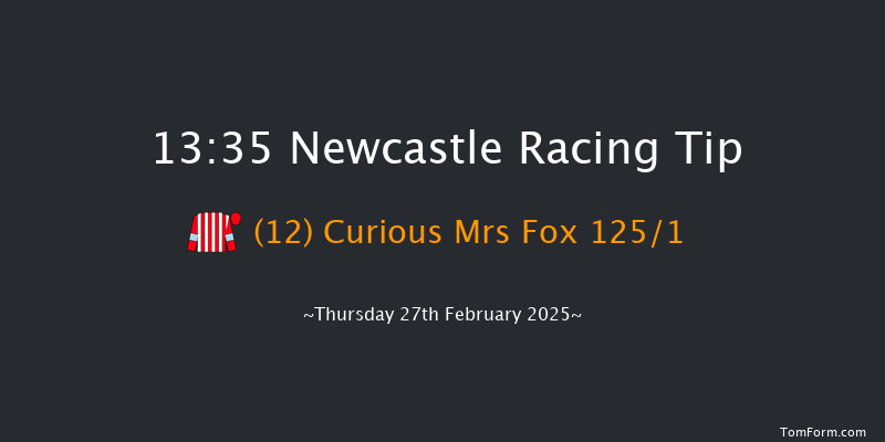 Newcastle  13:35 Handicap (Class 6) 12f Sat 22nd Feb 2025