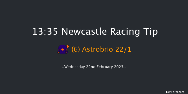 Newcastle 13:35 Handicap (Class 6) 12f Mon 20th Feb 2023