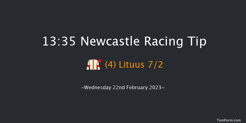 Newcastle 13:35 Handicap (Class 6) 12f Mon 20th Feb 2023