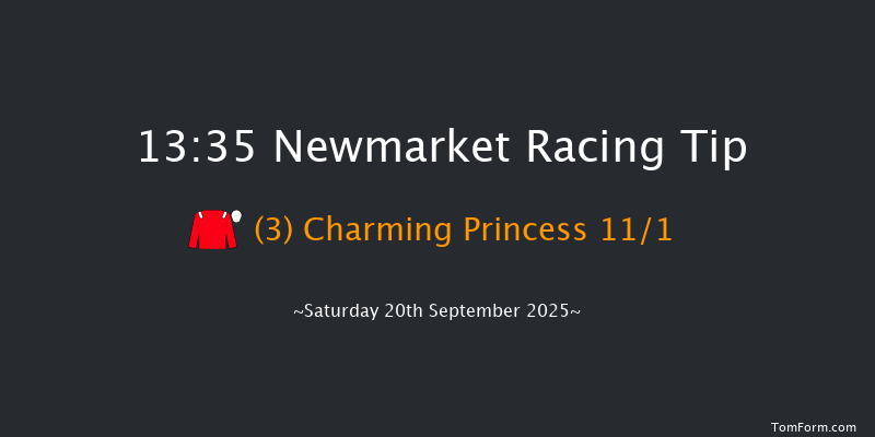 Newmarket 13-35 (Class 4) 8f Sat 23rd Aug 2025