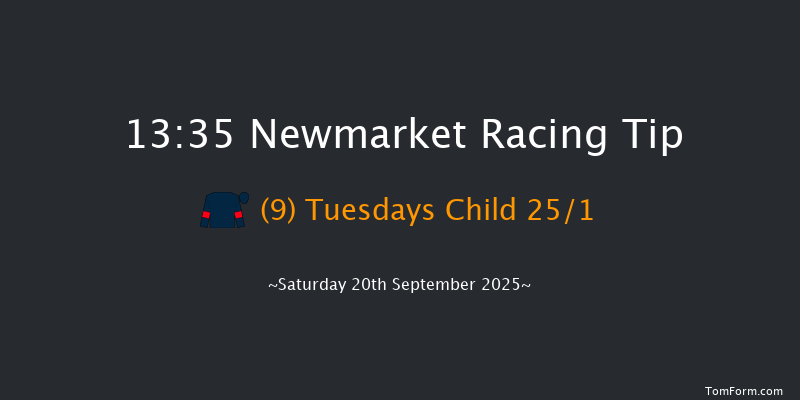 Newmarket 13-35 (Class 4) 8f Sat 23rd Aug 2025