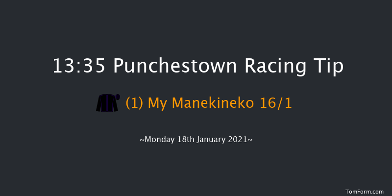 John Thomas McNamara Series (Q.R.) Handicap Hurdle Punchestown 13:35 Handicap Hurdle 16f Sun 17th Jan 2021