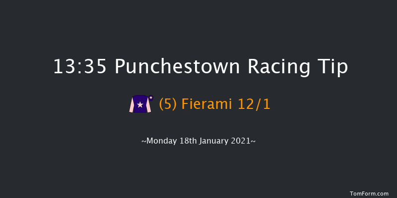 John Thomas McNamara Series (Q.R.) Handicap Hurdle Punchestown 13:35 Handicap Hurdle 16f Sun 17th Jan 2021