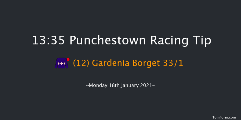 John Thomas McNamara Series (Q.R.) Handicap Hurdle Punchestown 13:35 Handicap Hurdle 16f Sun 17th Jan 2021