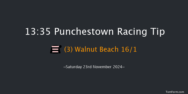 Punchestown  13:35 Handicap Chase 21f Fri 15th Nov 2024