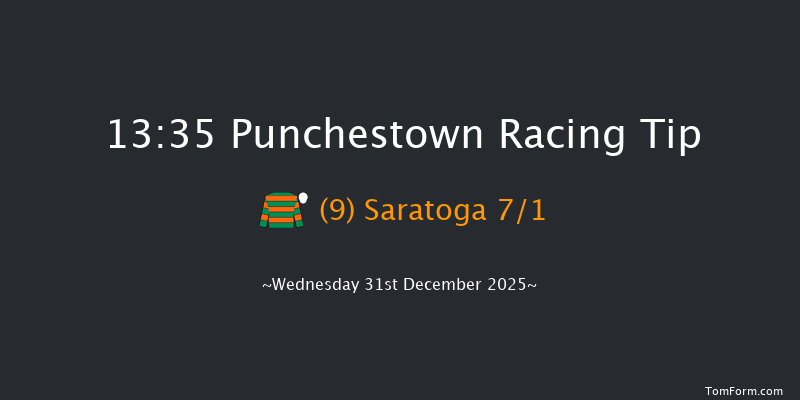 Punchestown 13-35 16f Thu 11th Dec 2025