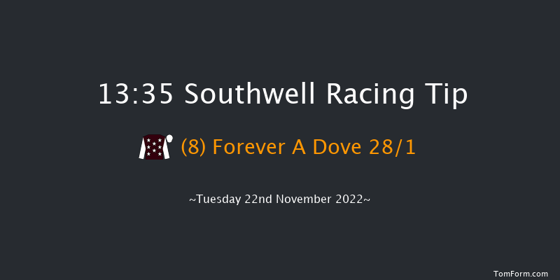 Southwell 13:35 NH Flat Race (Class 5) 16f Wed 16th Nov 2022