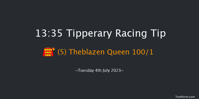 Tipperary 13:35 Maiden Chase 17f Tue 30th May 2023