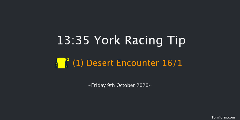 Betsafe Cumberland Lodge Stakes (Group 3) York 13:35 Group 3 (Class 1) 12f Sun 6th Sep 2020