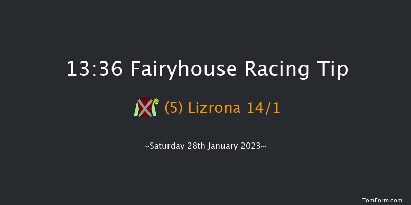 Fairyhouse 13:36 Handicap Chase 26f Wed 25th Jan 2023