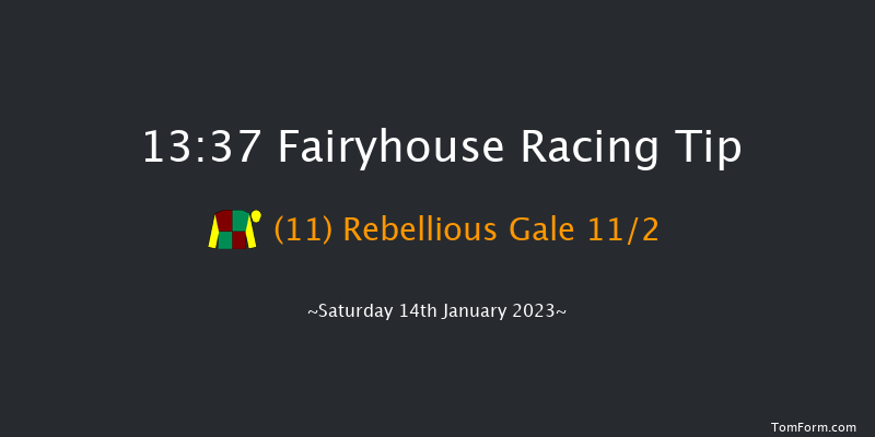Fairyhouse 13:37 Handicap Hurdle 24f Sun 1st Jan 2023