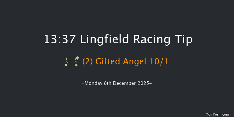 Lingfield 13-37 (Class 5) 12f Wed 3rd Dec 2025