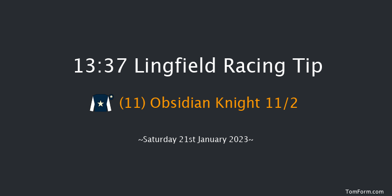 Lingfield 13:37 Handicap (Class 4) 10f Sat 14th Jan 2023
