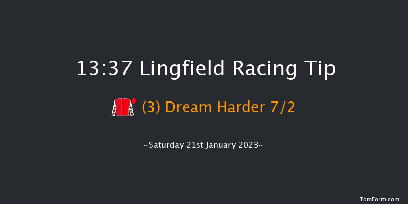 Lingfield 13:37 Handicap (Class 4) 10f Sat 14th Jan 2023