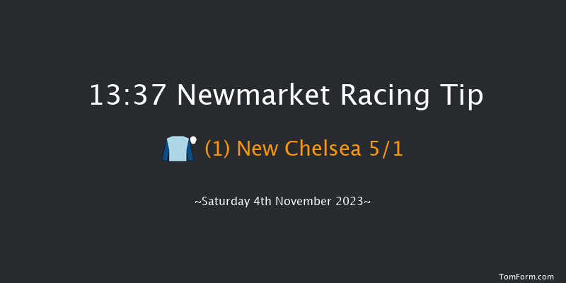 Newmarket 13:37 Handicap (Class 4) 9f Fri 3rd Nov 2023