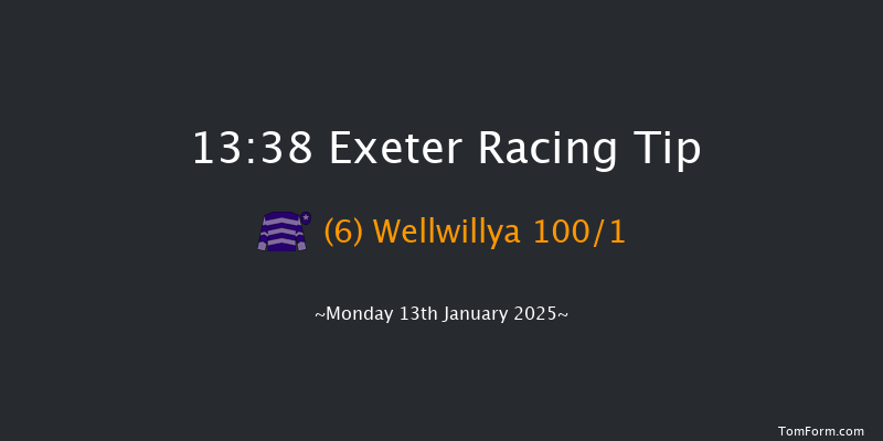 Exeter  13:38 Handicap Chase (Class 3) 19f Wed 1st Jan 2025