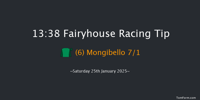 Fairyhouse  13:38 Maiden Hurdle 18f Thu 16th Jan 2025