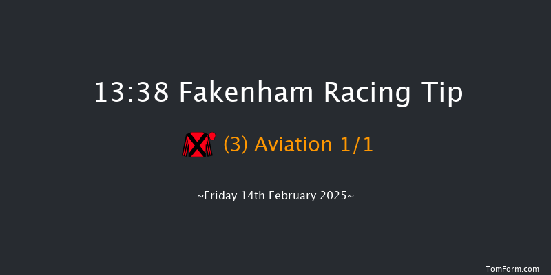 Fakenham  13:38 Maiden Hurdle (Class 4) 20f Sun 19th Jan 2025
