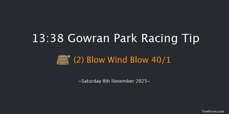 Gowran Park 13-38 16f Mon 20th Oct 2025