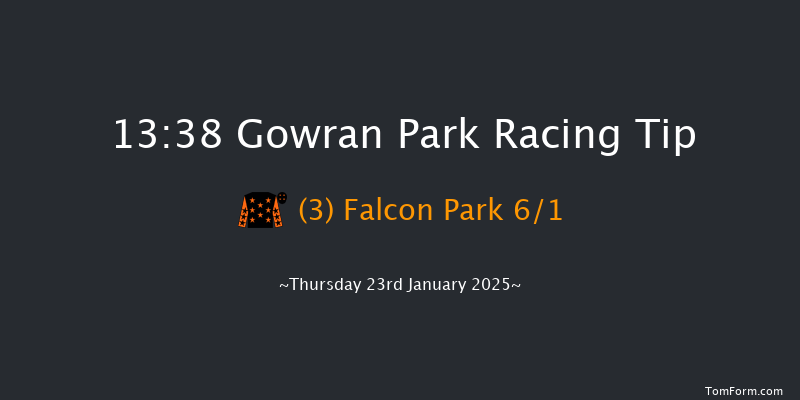 Gowran Park  13:38 Handicap Hurdle 16f Sat 9th Nov 2024