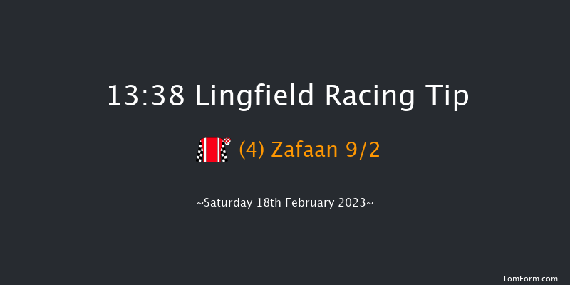 Lingfield 13:38 Stakes (Class 4) 8f Fri 17th Feb 2023
