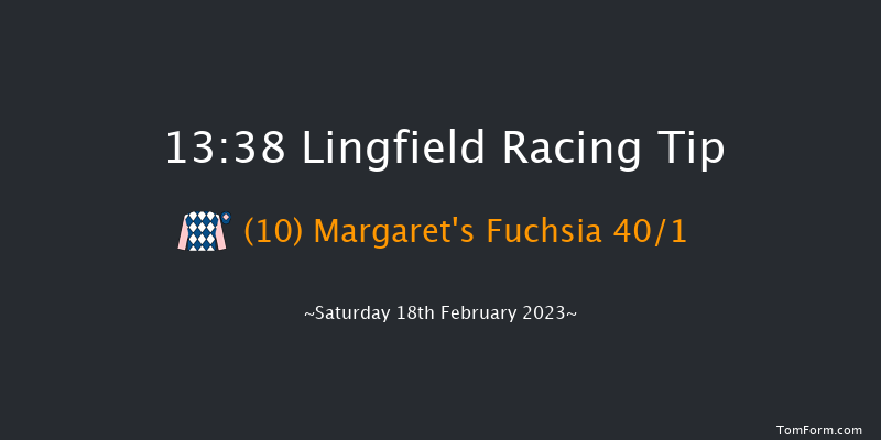 Lingfield 13:38 Stakes (Class 4) 8f Fri 17th Feb 2023