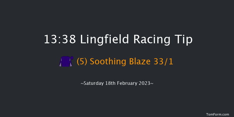 Lingfield 13:38 Stakes (Class 4) 8f Fri 17th Feb 2023