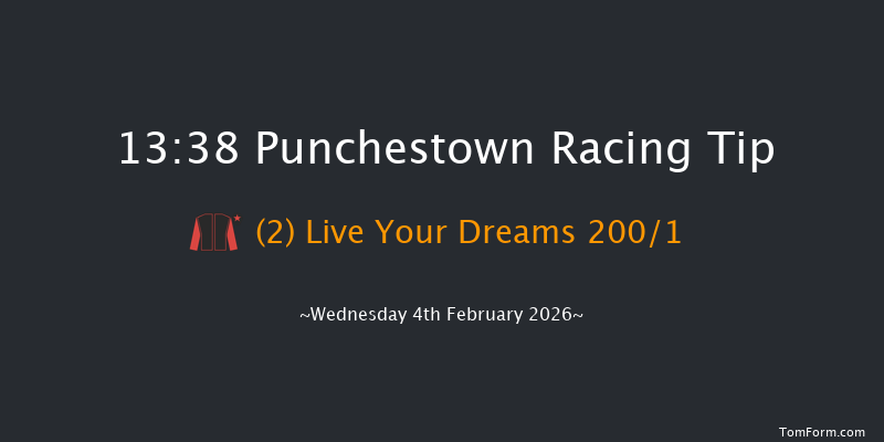 Punchestown 13-38 16f Mon 26th Jan 2026
