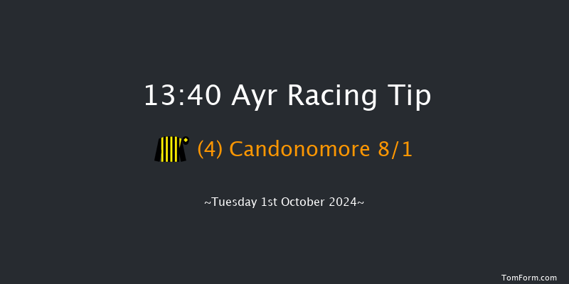 Ayr  13:40 Handicap (Class 5) 8f  Sat 21st Sep 2024