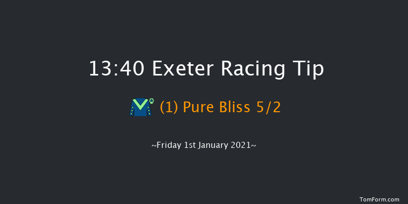 Paddy Power '2020 In The Bin' Mares' Handicap Hurdle Exeter 13:40 Handicap Hurdle (Class 3) 18f Thu 17th Dec 2020