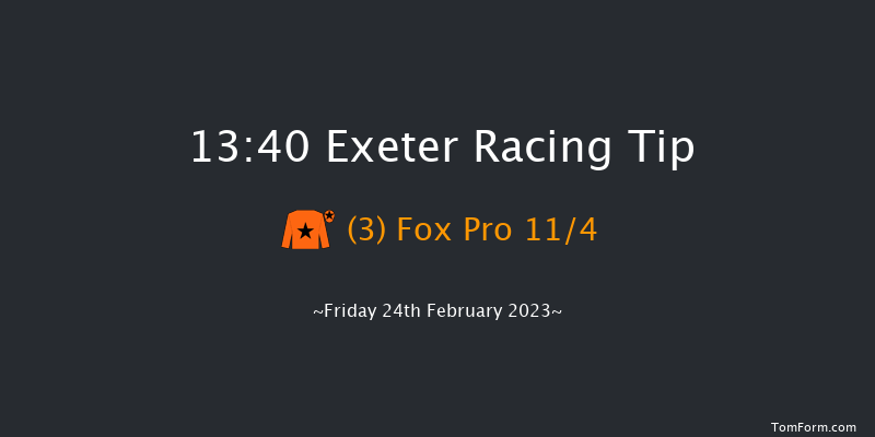 Exeter 13:40 Handicap Chase (Class 3) 24f Sun 12th Feb 2023