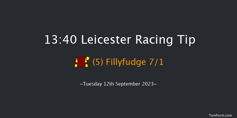 Leicester 13:40 Handicap (Class 6) 10f Wed 23rd Aug 2023