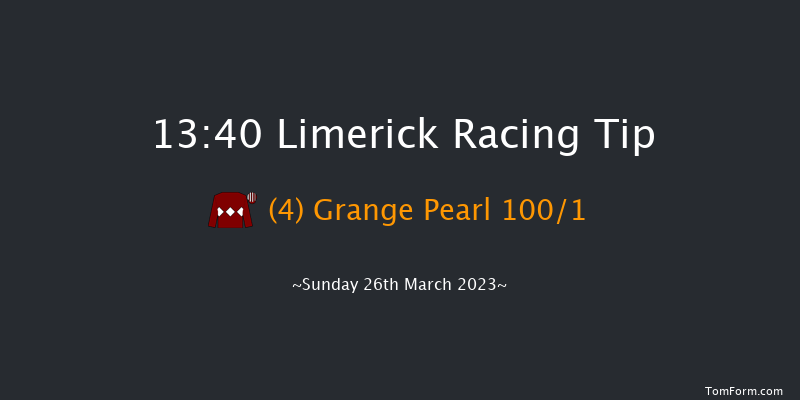 Limerick 13:40 Maiden Hurdle 19f Sun 12th Mar 2023
