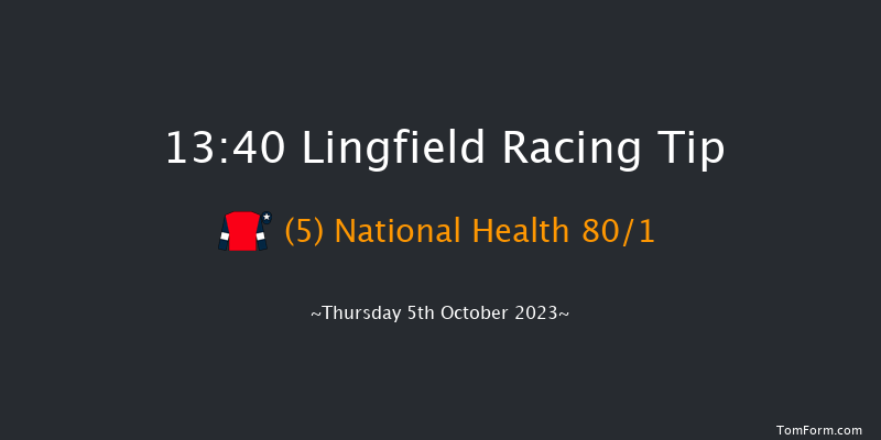 Lingfield 13:40 Stakes (Class 5) 8f Tue 26th Sep 2023