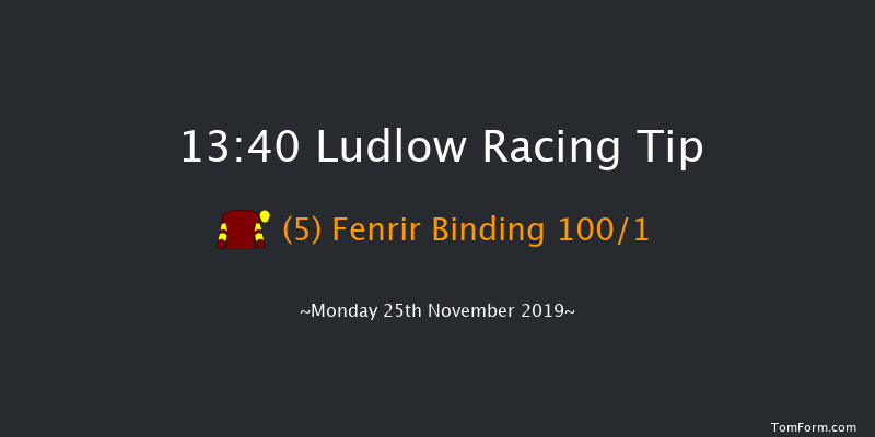 Ludlow 13:40 Novices Hurdle (Class 4) 21f Thu 14th Nov 2019