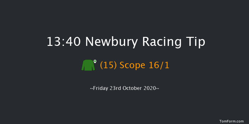 Are You Hot To Trot For 2021 Novice Stakes (Plus 10) (Div 2) (Str) Newbury 13:40 Stakes (Class 4) 8f Sat 19th Sep 2020