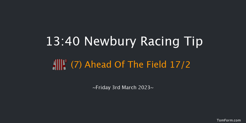 Newbury 13:40 Handicap Hurdle (Class 4) 20f Sun 19th Feb 2023