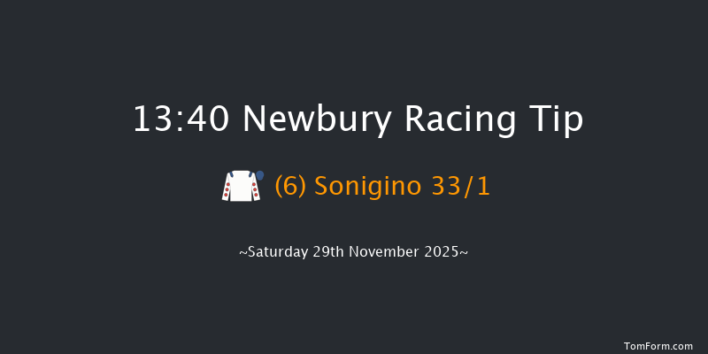 Newbury 13-40 (Class 2) 20f Fri 28th Nov 2025