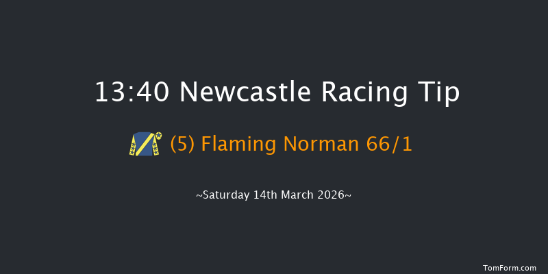 Newcastle 13-40 (Class 4) 16f Thu 12th Mar 2026