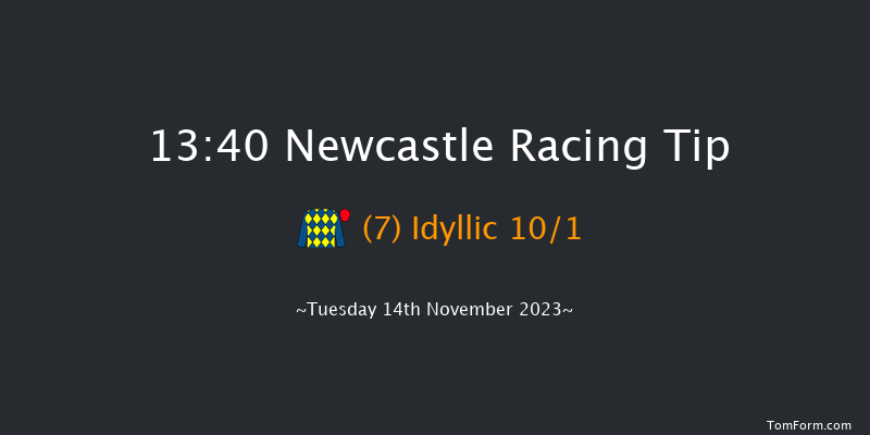 Newcastle 13:40 Stakes (Class 4) 7f Sat 11th Nov 2023