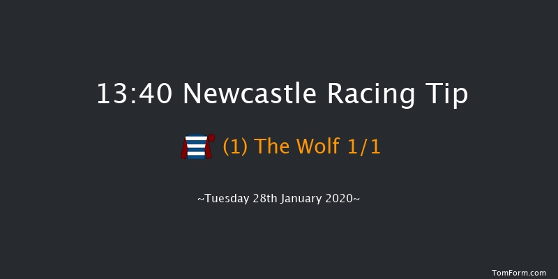 Newcastle 13:40 Maiden Hurdle (Class 4) 22f Thu 23rd Jan 2020
