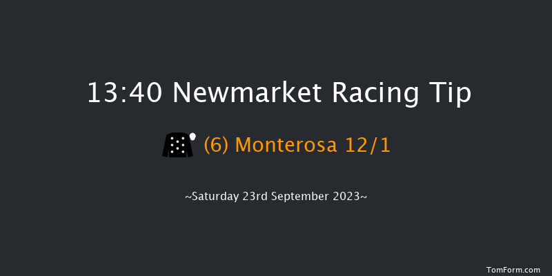 Newmarket 13:40 Stakes (Class 4) 8f Sat 26th Aug 2023