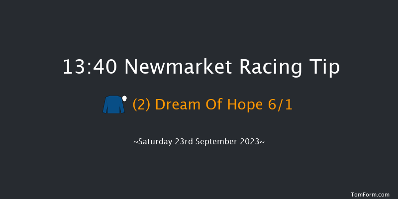 Newmarket 13:40 Stakes (Class 4) 8f Sat 26th Aug 2023