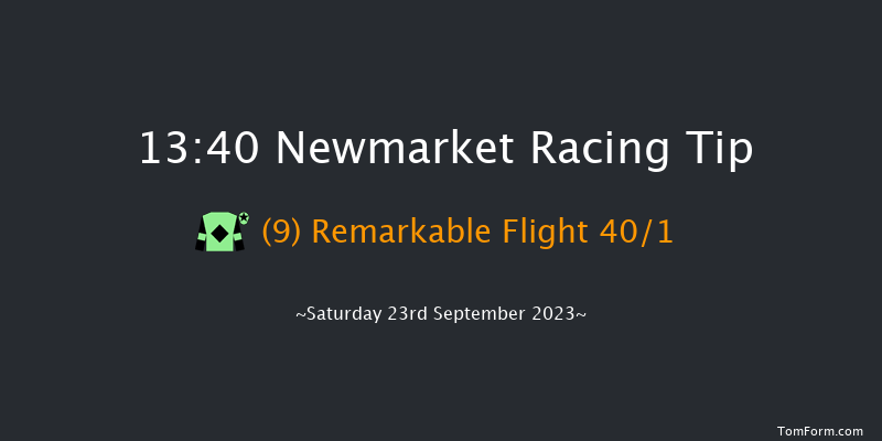 Newmarket 13:40 Stakes (Class 4) 8f Sat 26th Aug 2023