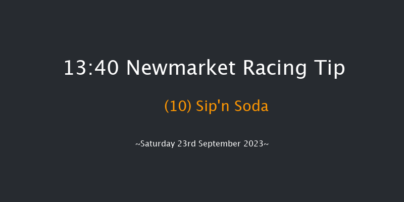 Newmarket 13:40 Stakes (Class 4) 8f Sat 26th Aug 2023