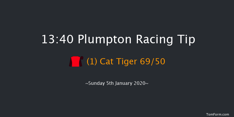 Plumpton 13:40 Novices Hurdle (Class 3) 20f Mon 16th Dec 2019