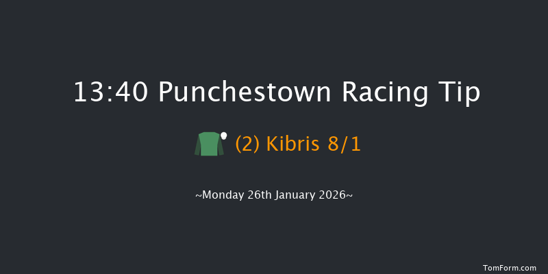 Punchestown 13-40 16f Mon 12th Jan 2026
